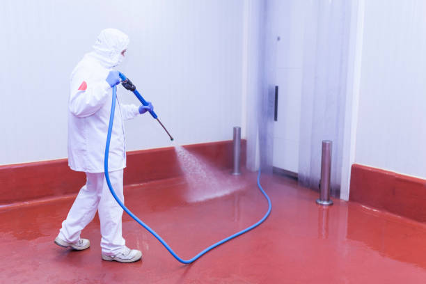 Best Sign and Awning Cleaning  in Montezuma, GA
