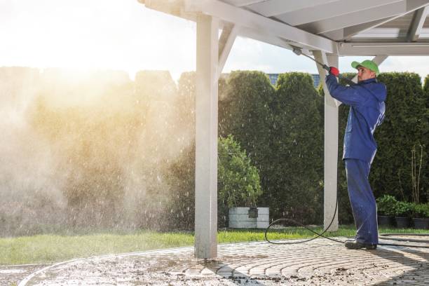 Best Graffiti Removal  in Montezuma, GA